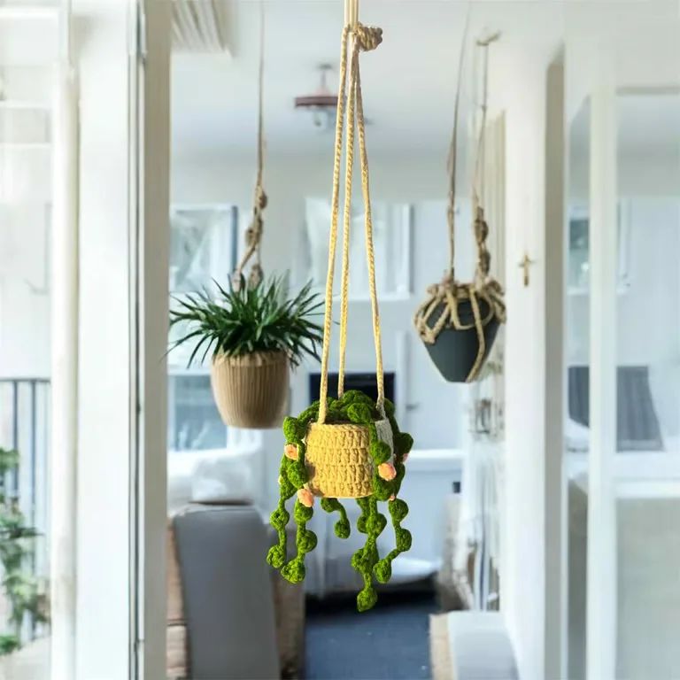 Plante suspendue