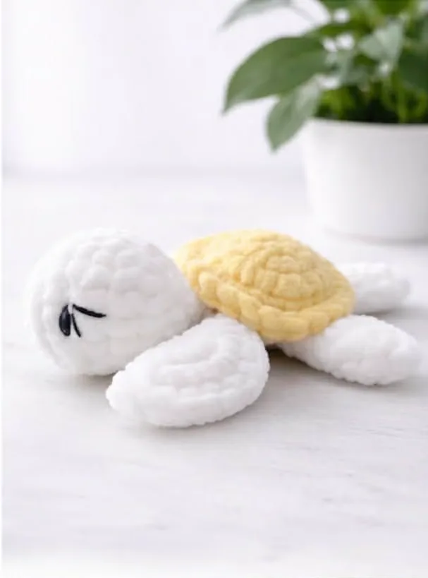 Mini Tortue — photo 4 sur 4