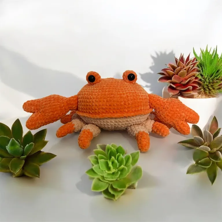 Mr Crabe — photo 1 sur 3