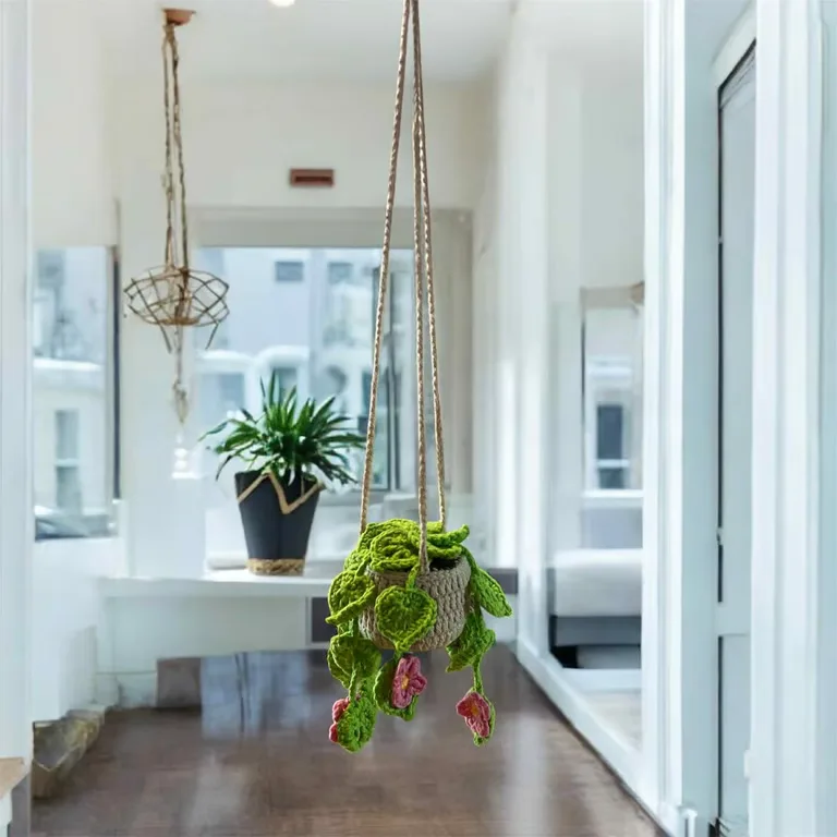 Plante suspendue