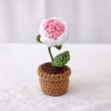 Mini pots de fleurs — photo 5 sur 7