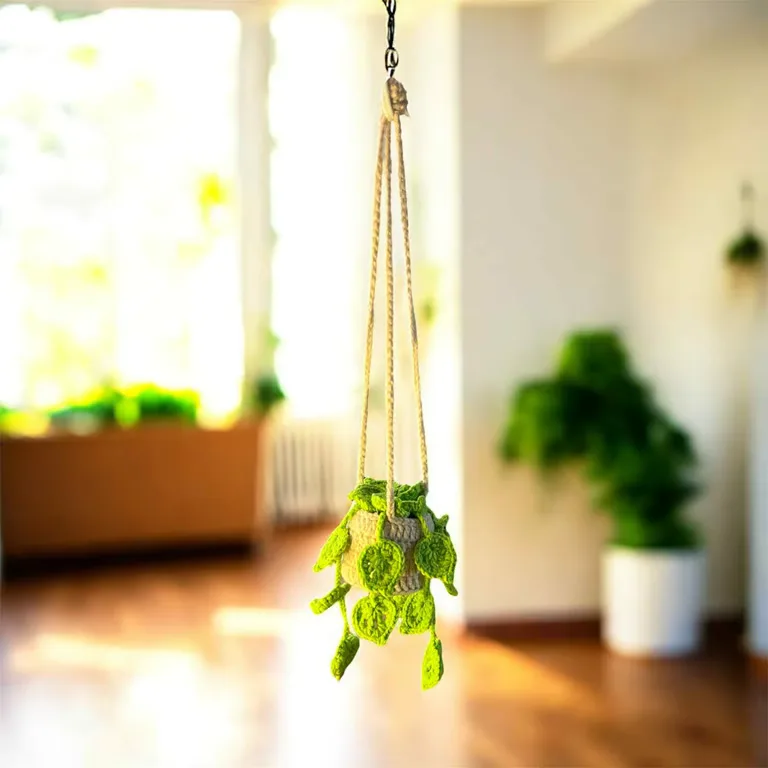 Plante suspendue