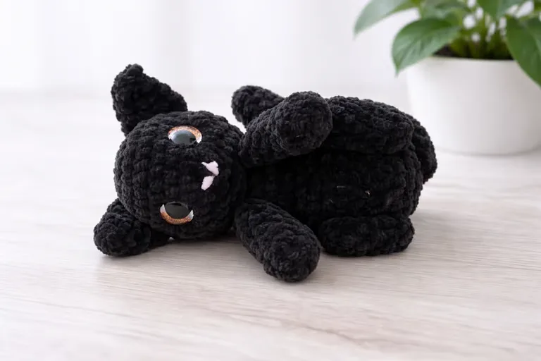 Chat Noir